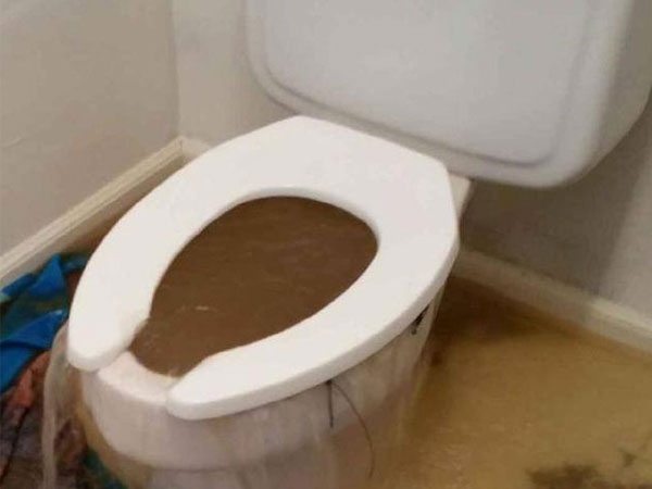clogged toilet fast