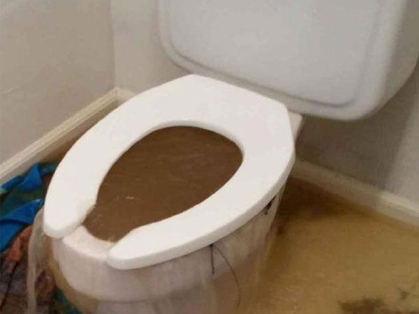 Toilet on sale backed up