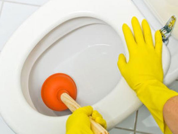 Professional Clogged Toilet Repairs